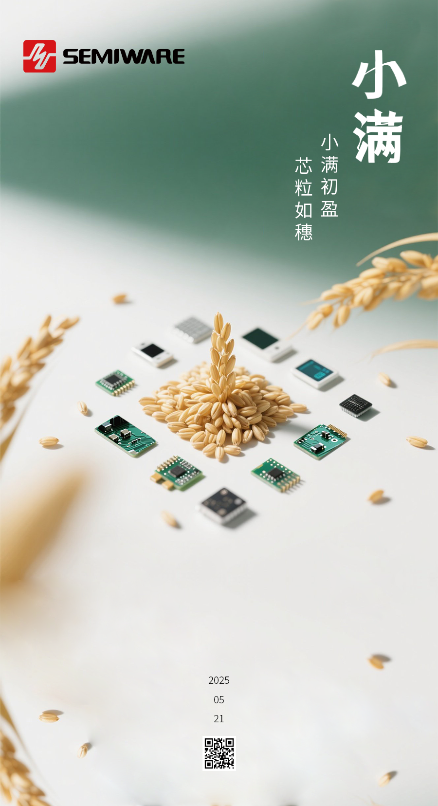 小满初盈 芯粒如穗